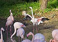 20251113PENSNOV00225A