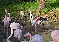 20251113PENSNOV00226A