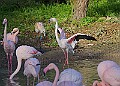 20251113PENSNOV00227A