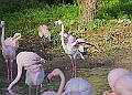 20251113PENSNOV00228A