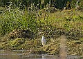 20251113PENSNOV00235A