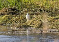20251113PENSNOV00236A
