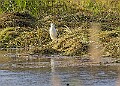 20251113PENSNOV00238A