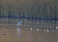 20251113PENSNOV00247A