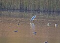 20251113PENSNOV00249A