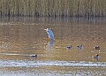 20251113PENSNOV00255A