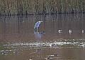 20251113PENSNOV00256A