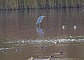 20251113PENSNOV00258A