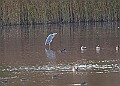 20251113PENSNOV00261A