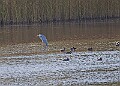 20251113PENSNOV00262A