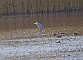 20251113PENSNOV00264A
