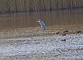 20251113PENSNOV00268A
