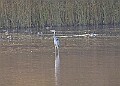 20251113PENSNOV00269A