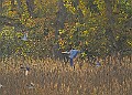 20251113PENSNOV00278A