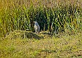 20251113PENSNOV00285A