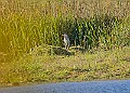 20251113PENSNOV00286A