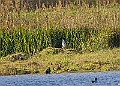 20251113PENSNOV00298A