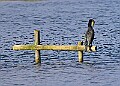 20251113PENSNOV00302A
