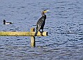 20251113PENSNOV00305A