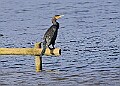 20251113PENSNOV00306A