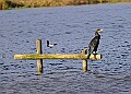 20251113PENSNOV00307A
