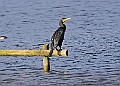 20251113PENSNOV00308A