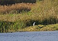 20251113PENSNOV00314A