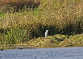 20251113PENSNOV00315A