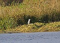 20251113PENSNOV00316A