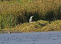 20251113PENSNOV00320A