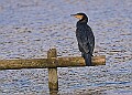 20251113PENSNOV00321A
