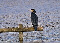 20251113PENSNOV00322A
