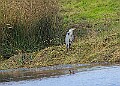 20251113PENSNOV00331A