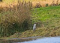 20251113PENSNOV00332A
