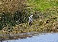 20251113PENSNOV00333A