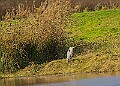 20251113PENSNOV00340A