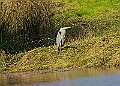 20251113PENSNOV00341A