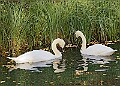 20251113PENSNOV00401A