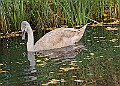 20251113PENSNOV00407A