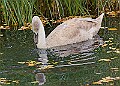 20251113PENSNOV00418A