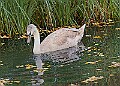20251113PENSNOV00420A