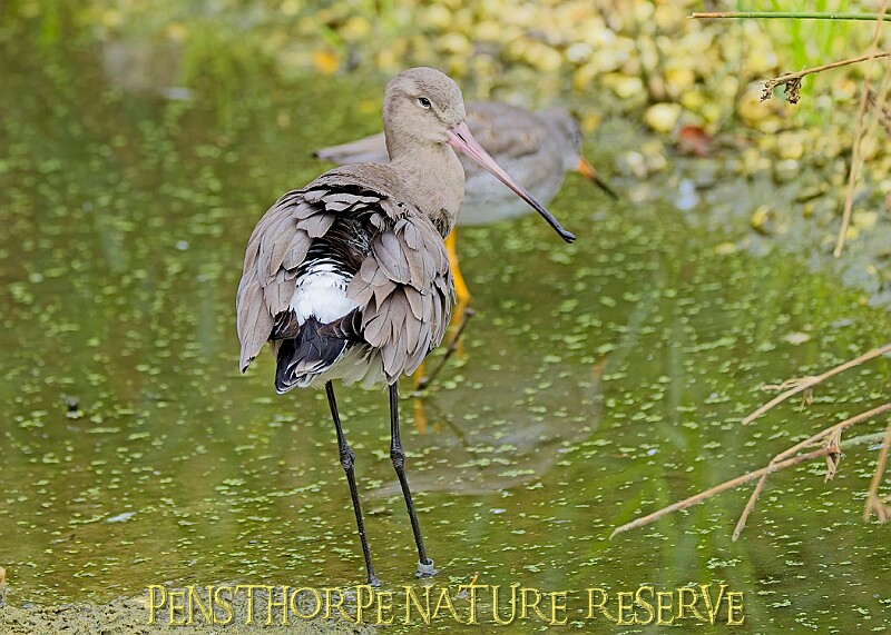 251009PENSOCT00043A.jpg
