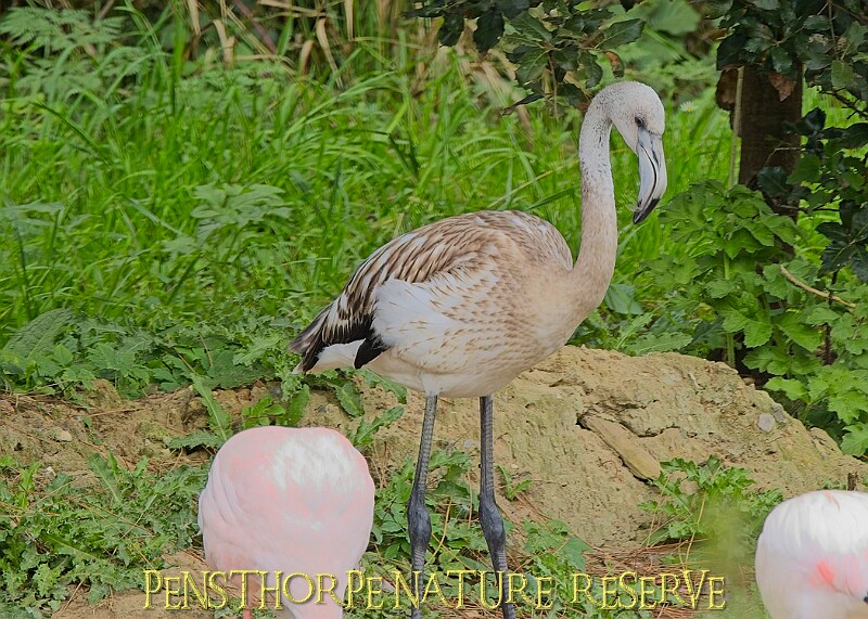 251009PENSOCT00076A.jpg