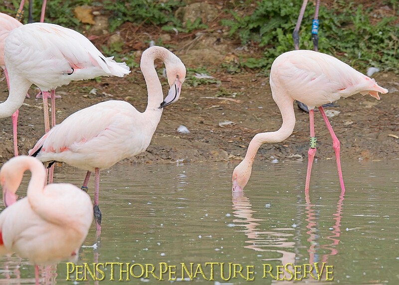 251009PENSOCT00079A.jpg