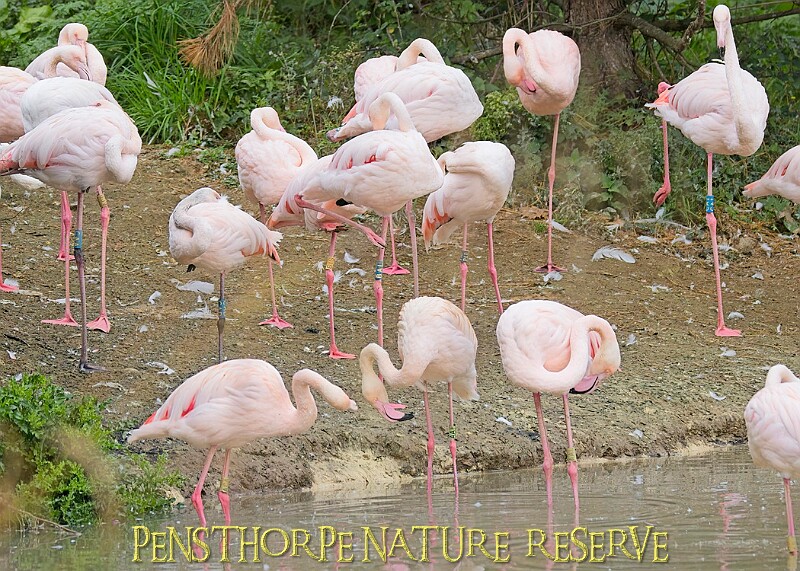 251009PENSOCT00091A.jpg