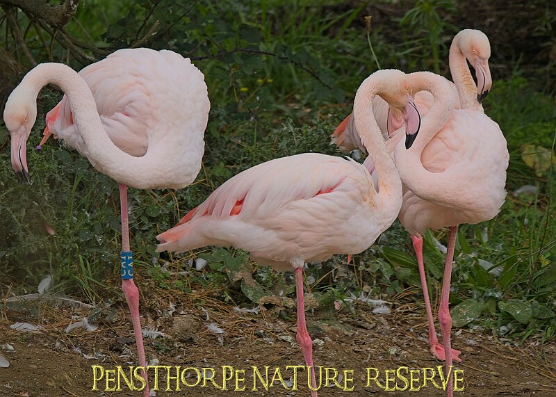 251009PENSOCT00095A.jpg