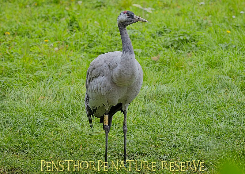 251009PENSOCT00104A.JPG