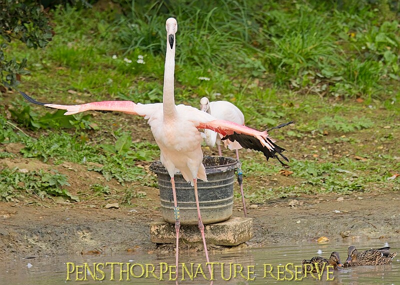 251009PENSOCT00134A.JPG