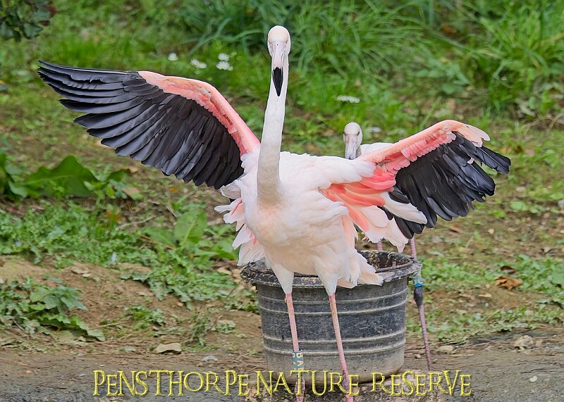 251009PENSOCT00135A.JPG
