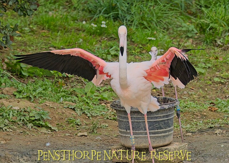 251009PENSOCT00136A.JPG